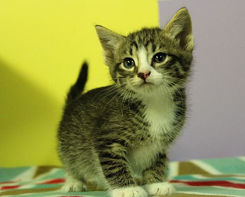 1F0C7DE5-B73F-40C0-BE92-F4B56DC76040