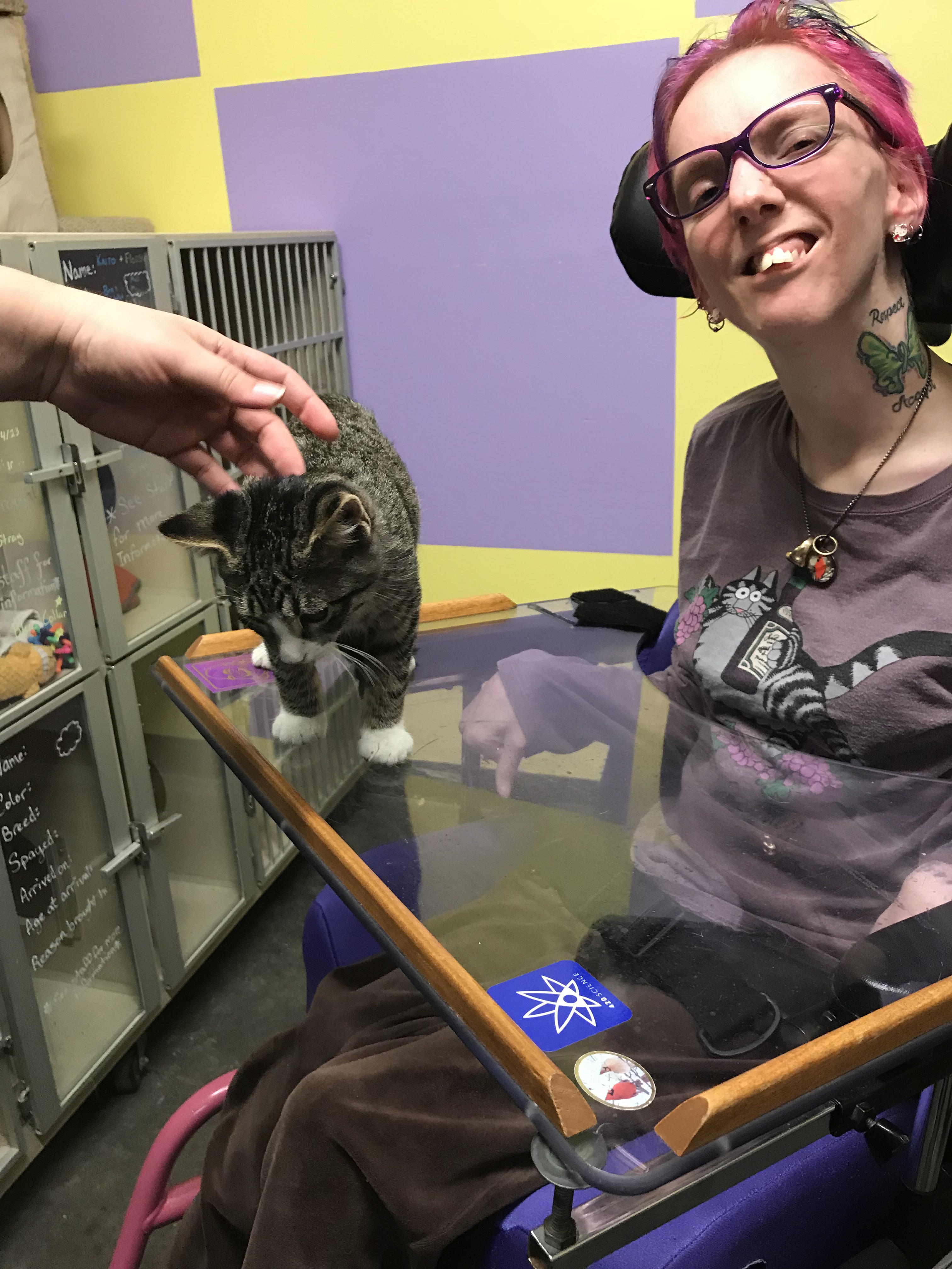 228F653D-1E23-48B0-8CCF-0CAF905FA1DA