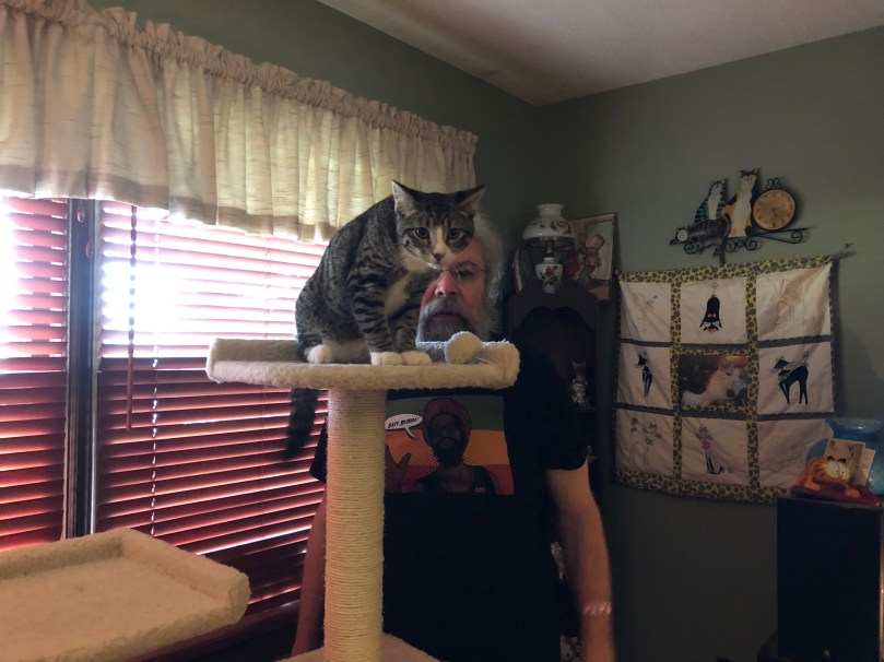 9796FC2A-5933-4CA9-8820-6FD2E76D66A9